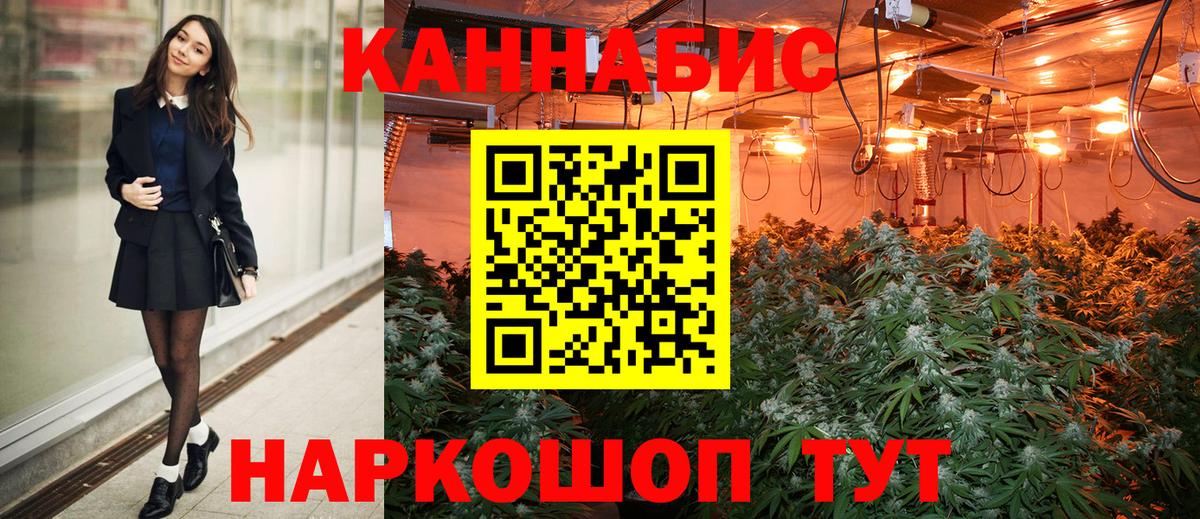 Конопля SATIVA & INDICA  Конопля индика  Гусев  Канабис OG Kush  Вход с VPN 